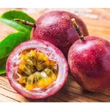 Elit Agro Pasiflora 10 Adet (Çarkifelek)
