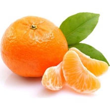 Fidan Sepetim 5 Yaş Aşılı Satsuma Mandalina Fidanı *üzeri Meyveli*