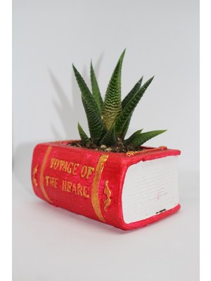 Cactus Garden Kitap Tasarımlı Kaktüs Saksı + Canlı  Sukulent Bitki