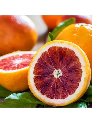 Fidan Sepetim 3 Yaş Aşılı Kan Portakalı Fidanı