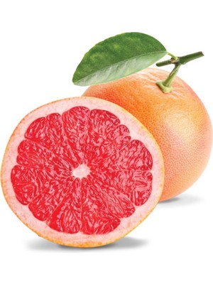 Fidan Sepetim 3 Yaş Aşılı Star Ruby Greyfurt Fidanı