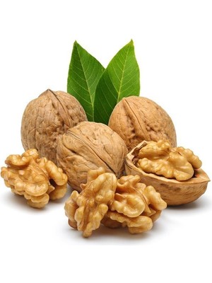 Fidan Sepetim Aşılı Fernor Ceviz Fidanı -Açık Kök-