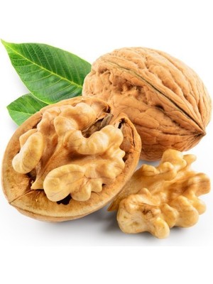 Fidan Sepetim Aşılı Fernette Ceviz Fidanı -Açık Kök-