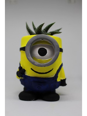 Cactus Garden Minion Saksı Özel Dekoratif Kaktüs ve Canlı Sukulent Saksı