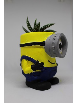 Cactus Garden Minion Saksı Özel Dekoratif Kaktüs ve Canlı Sukulent Saksı