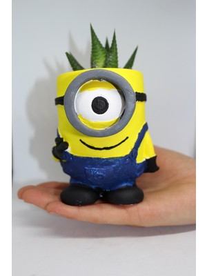 Cactus Garden Minion Saksı Özel Dekoratif Kaktüs ve Canlı Sukulent Saksı