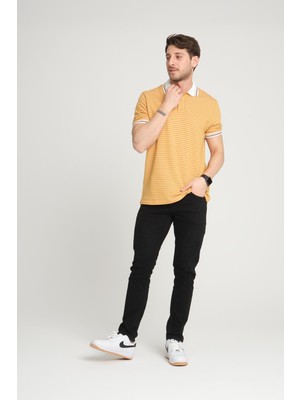 Alexander Gardi Çizgili Polo Yaka T-Shirt (E24-0022)