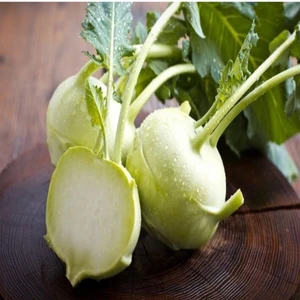 Alabaş Turp Yer Lahanası 2 kg