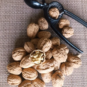 Little Sister's Farm Niğde Ulukışla Yöresi İlaçsız İnce Kabuklu Ceviz 1 kg