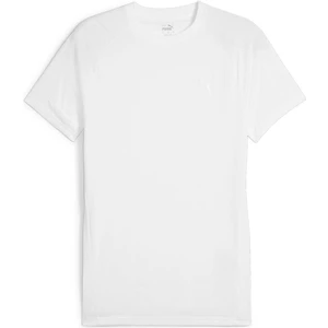 Evostripe Tee Erkek T-Shirt