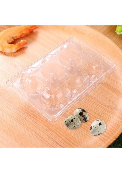 Bıldırcın Yumurtası Saklama Kutusu 6 Izgara Bıldırcın Yumurta Tepsisi Plastik Şeffaf Yumurta Dağıtıcı Tutucu Yumurta Kabı Koruma Kılıfı (Yurt Dışından)