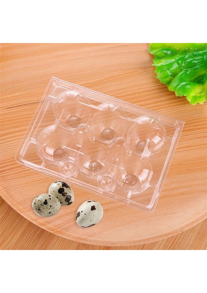 Bıldırcın Yumurtası Saklama Kutusu 6 Izgara Bıldırcın Yumurta Tepsisi Plastik Şeffaf Yumurta Dağıtıcı Tutucu Yumurta Kabı Koruma Kılıfı (Yurt Dışından)