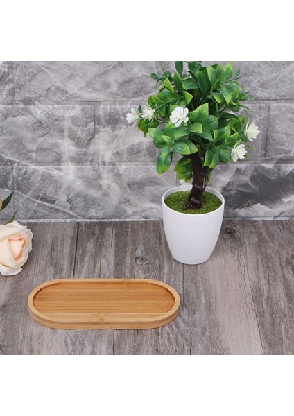 12.5cm Tarzı Oval Şekil Bambu Ahşap Tabak Bitki Tepsisi Mini Bitki Saksı Standı Favor Etli Pot Tepsi Basit Zarif Tasarım Ev Balkon (Yurt Dışından) modelleri
