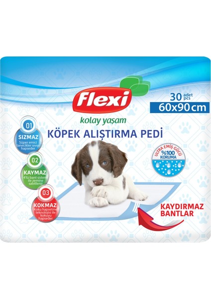 Köpek Çiş Pedi - 60X90cm 30'lu Paket