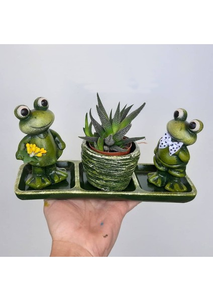 Kurbağa Tabanlıklı Saksı Set