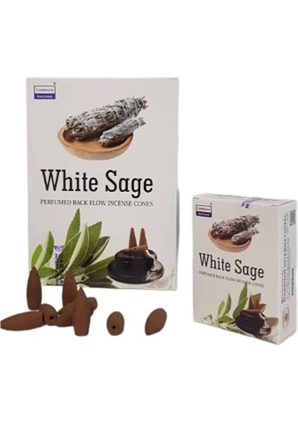 Darshan White Sage / Ada Çayı Kokusu - Geri Akış Tütsü