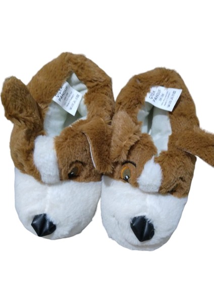 Ev Panduf fiyatları