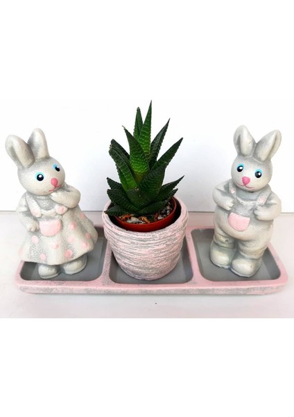 Tavşan Tabanlıklı Saksı Set