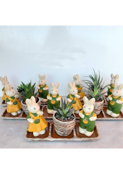 Tavşan Tabanlıklı Saksı Set fiyatları