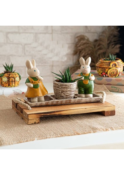 Tavşan Tabanlıklı Saksı Set modelleri