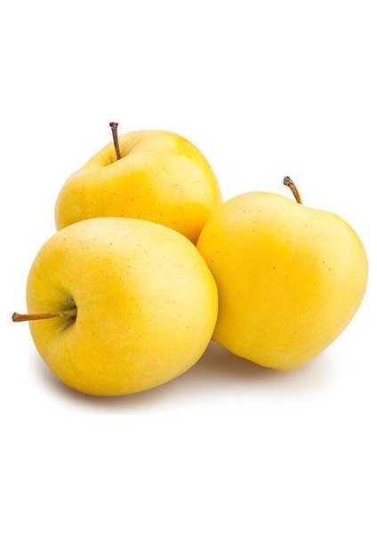 3 Yaş Aşılı Golden Delicious Elma Fidanı (Sarı Elma)