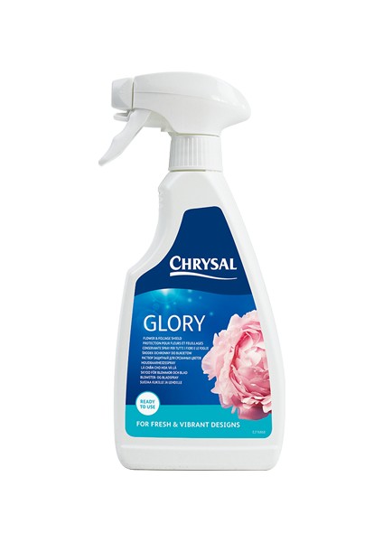 Professional Glory Spray