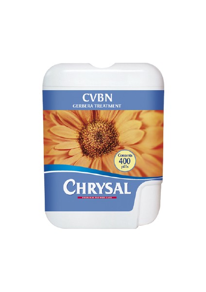Cvbn Gerbera Treatment