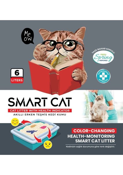 6 Lt Erken Teşhis Kedi Kumu modelleri