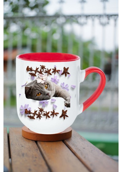 Sevimli Kedi Baskılı Içi Kırmızı Lüx Kupa Bardak Porselen Çay Kahve Fincanı