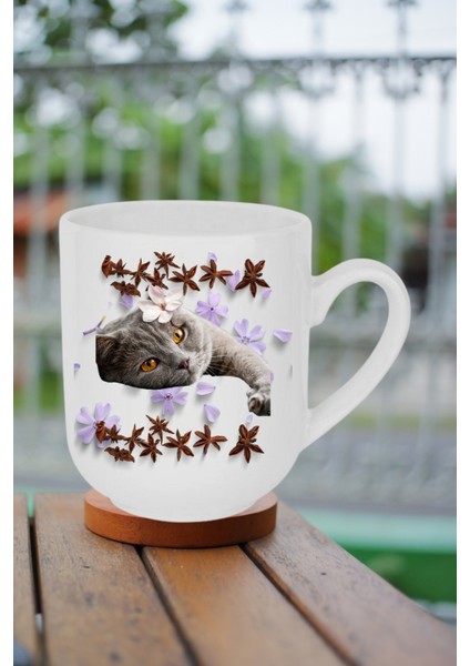 Sevimli Kedi Baskılı Lüx Kupa Bardak Porselen Çay Kahve Fincanı