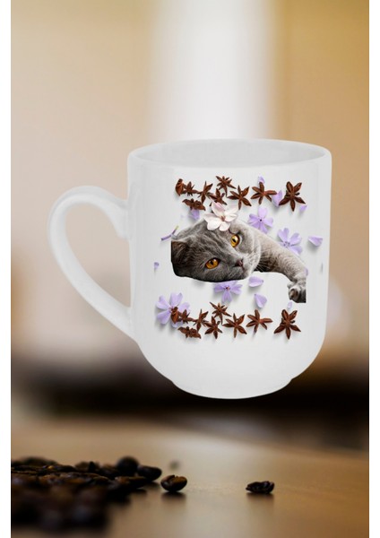 Sevimli Kedi Baskılı Lüx Kupa Bardak Porselen Çay Kahve Fincanı fiyatları