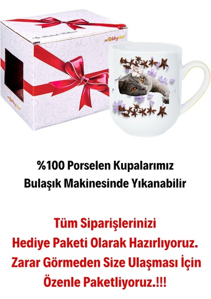 Sevimli Kedi Baskılı Lüx Kupa Bardak Porselen Çay Kahve Fincanı modelleri