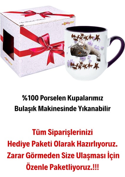 Sevimli Kedi Baskılı Içi Siyah Lüx Kupa Bardak Porselen Çay Kahve Fincanı