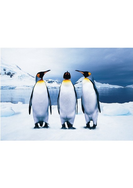 Sepeti Puzzle  Penguenler  100 Parça 24X34CM