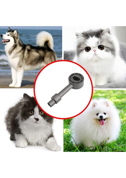Dyson V15 V11 V10 V8 V7 Elektrikli Süpürge Köpek Kedi Pet Emme Fırçası Bakım Aracı ve Anahtar Kilidi Yedek Parçalar (Yurt Dışından) modelleri