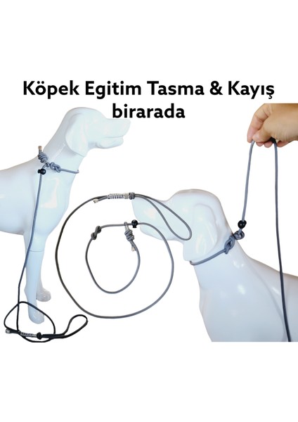 Stoperli Eğitim Tasma Kayış Bir Arada Köpek Eğitim Kayışı