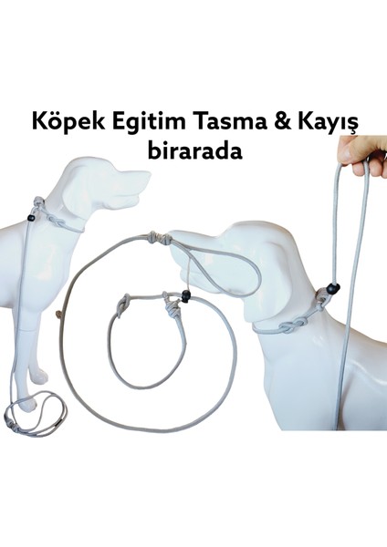 VSLT Handmade Stoperli Eğitim Tasma Kayış Bir Arada Köpek Eğitim Kayışı