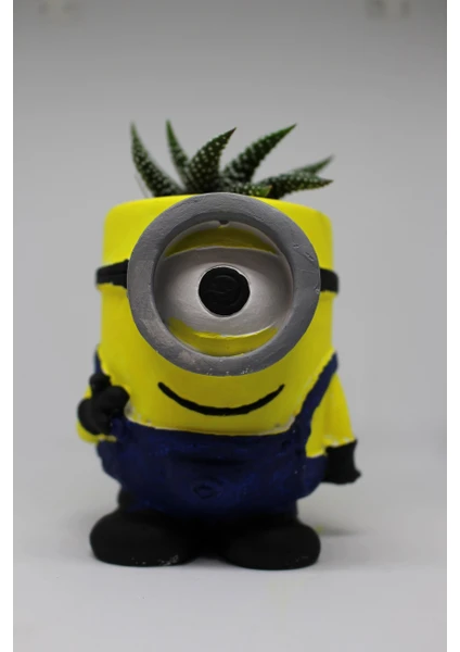 Cactus Garden Minion Saksı Özel Dekoratif Kaktüs ve Canlı Sukulent Saksı