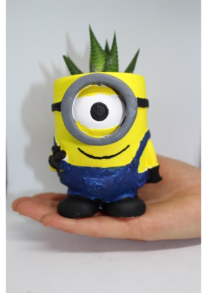 Cactus Garden Minion Saksı Özel Dekoratif Kaktüs ve Canlı Sukulent Saksı