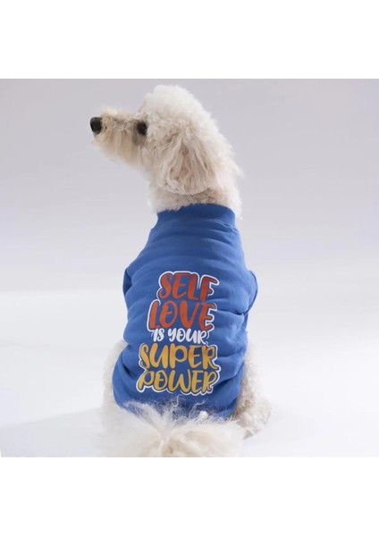 Mavi Power Köpek Sweati Köpek Kıyafeti Kedi Kıyafeti
