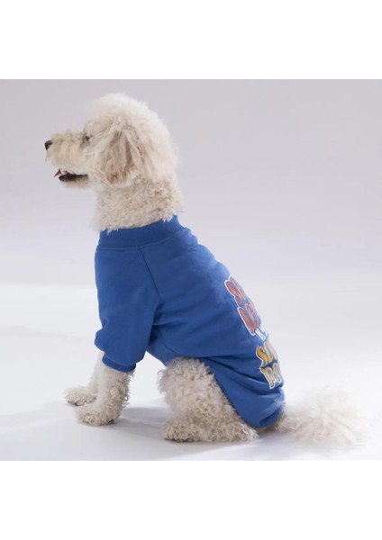 Mavi Power Köpek Sweati Köpek Kıyafeti Kedi Kıyafeti fiyatları