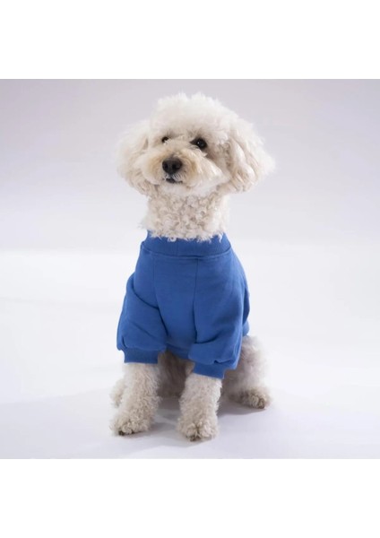 Mavi Power Köpek Sweati Köpek Kıyafeti Kedi Kıyafeti modelleri