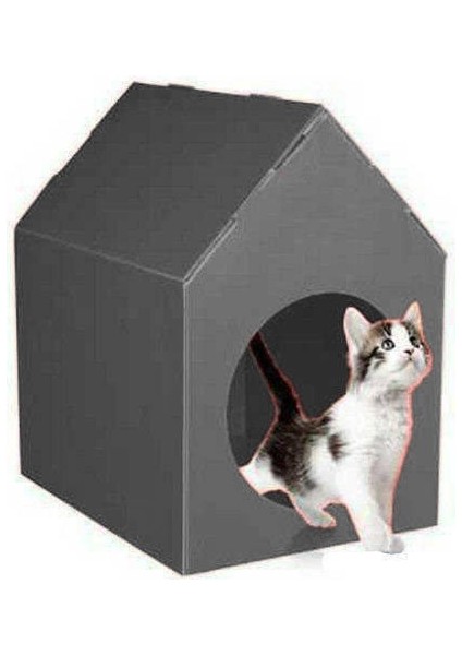 Star Kedi Köpek Evi