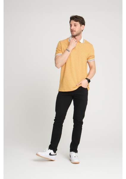 Çizgili Polo Yaka T-Shirt (E24-0022)