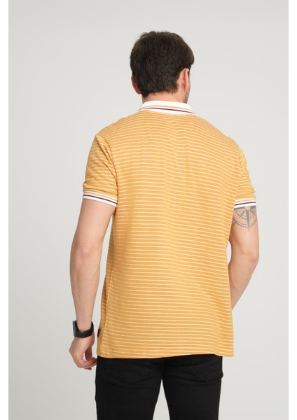Çizgili Polo Yaka T-Shirt (E24-0022) fırsatları
