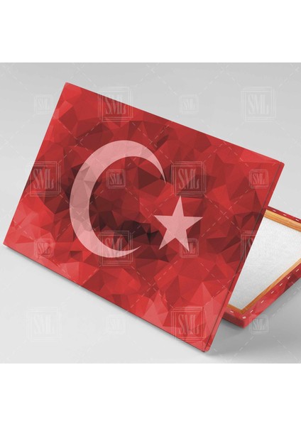 Türk Bayrağı Ay Yıldız Hilal Türkiye Cumhuriyeti Bayrak Yatay Kanvas Tablo