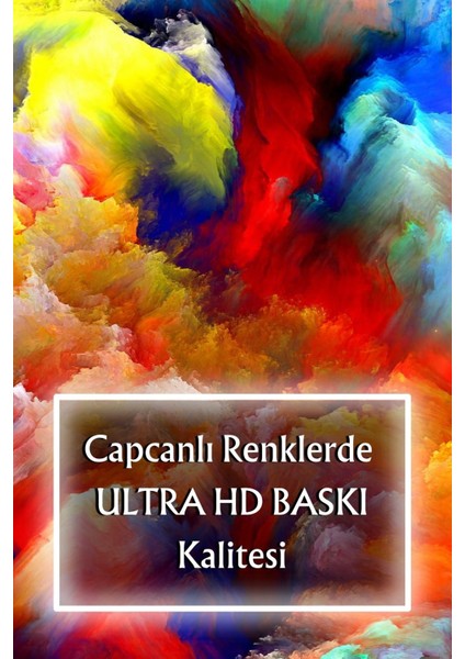 Pi Papers Afrikan Siyahi Kadın Portresi - Bohem Matisse Tarzı Yüksek Çözünürlüklü Duvar Poster