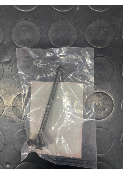 Dio Egsoz Subap Orjinal