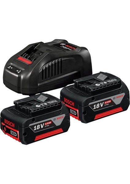 Professional 18 V. Akü Seti 2x18V 5,0 Ah Akü + GAL1880 CV Hızlı Şarj