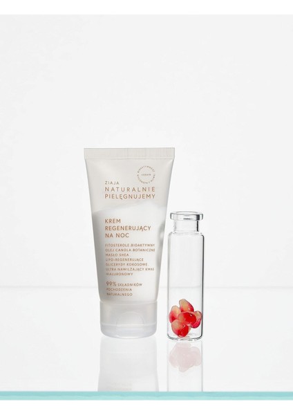 Natural Care Canlandırıcı Gece Kremi 50 ml modelleri